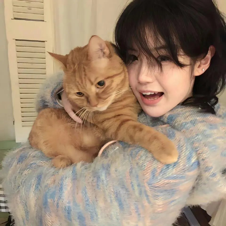 笑林小子2：新乌龙院